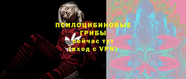 а пвп мука Богородицк