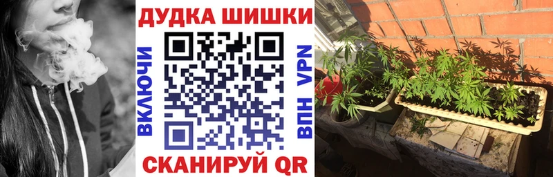 Бошки марихуана OG Kush  Когалым 